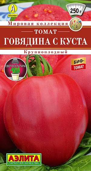 Томат Говядина с куста