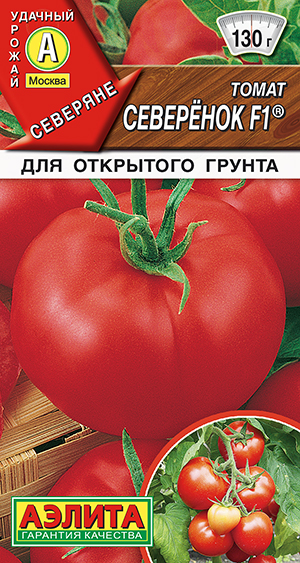 ����� ��������� F1