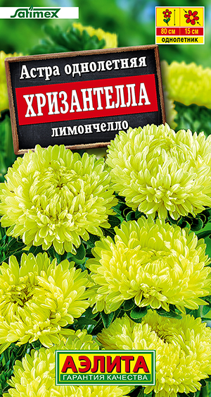 ����� ����������� ����������