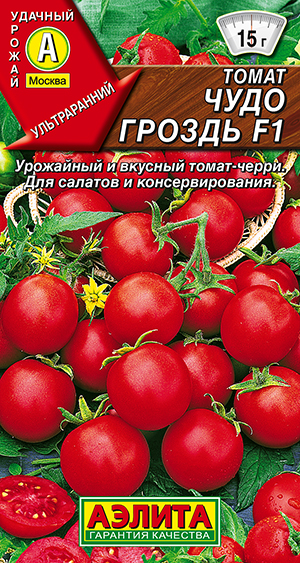 ����� ���� ������ F1