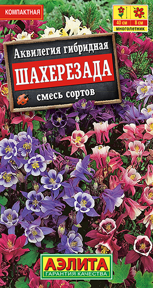 Аквилегия Шахерезада, смесь сортов Аквилегия Шахерезада, смесь сортов