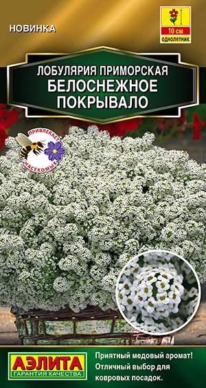 Лобулярия Белоснежное покрывало Лобулярия Белоснежное покрывало