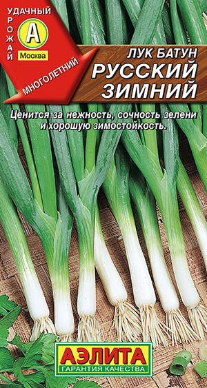 Лук батун Русский зимний Лук батун Русский зимний