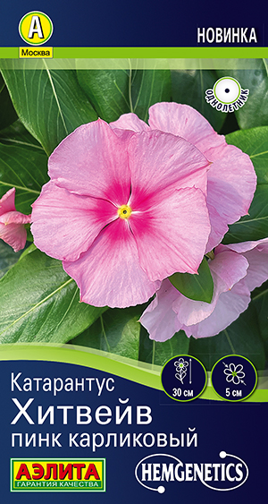 ���������� ������� ���� ����������