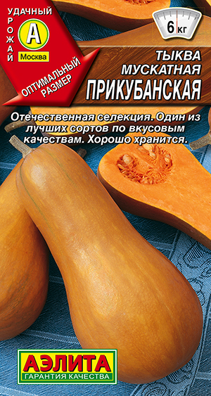 ����� ��������� ������������