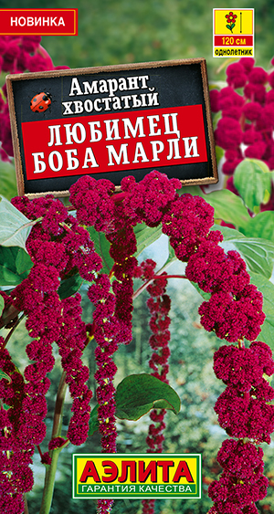 Амарант Любимец Боба Марли Амарант Любимец Боба Марли
