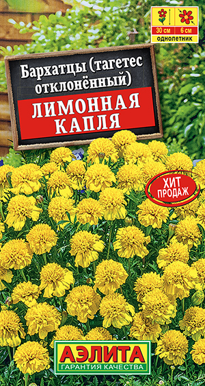 �������� �������� ����� �����������