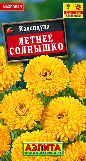 ��������� ������ ��������