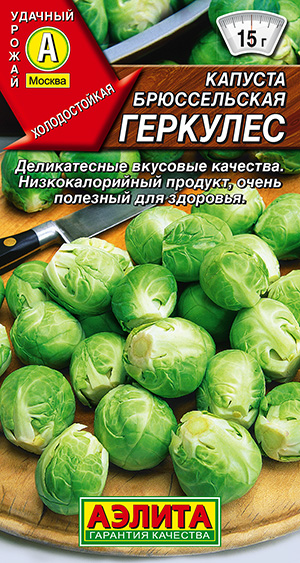 ������� ������������ ��������