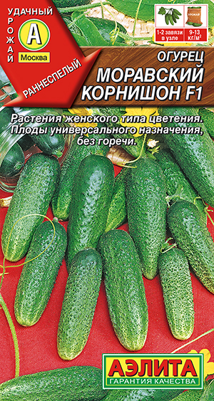 ������ ��������� �������� F1