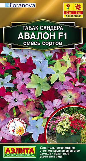 Табак сандера Авалон F1, смесь сортов Табак сандера Авалон F1, смесь сортов