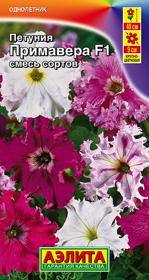 Петуния Примавера F1 бахромчатая, смесь сортов Петуния Примавера F1 бахромчатая, смесь сортов