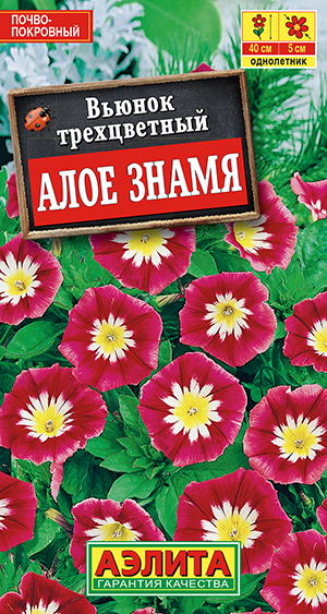 Вьюнок Алое знамя Вьюнок Алое знамя