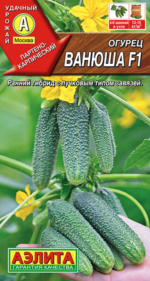 Огурец Ванюша F1 Огурец Ванюша F1