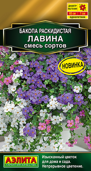 Бакопа раскидистая Лавина, смесь сортов Бакопа раскидистая Лавина, смесь сортов