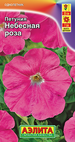 Петуния Небесная роза Петуния Небесная роза