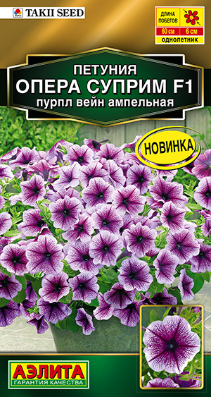 Петуния Опера суприм F1 пурпл вейн ампельная Петуния Опера суприм F1 пурпл вейн ампельная