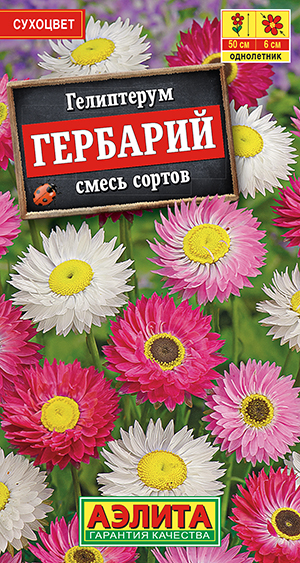 Гелиптерум Гербарий, смесь сортов Гелиптерум Гербарий, смесь сортов