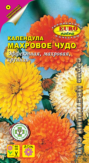 ��������� �������� ����