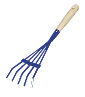 ������ ��� ������ _