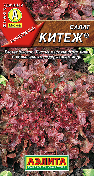 ����� ����� ��������