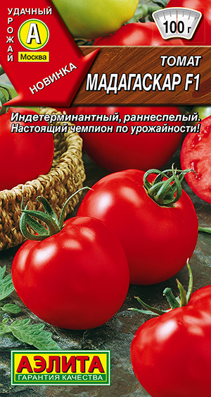 ����� ���������� F1