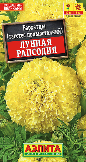 �������� ������ �������� ������������