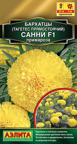 �������� ����� F1 ��������� ������������