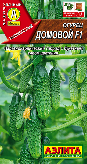 ������ ������� F1