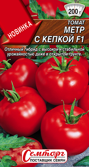 ����� ���� � ������ F1