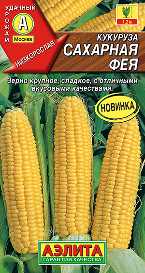 �������� �������� ���