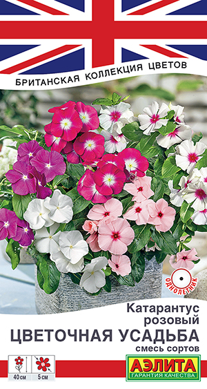 Катарантус Цветочная усадьба, смесь сортов Катарантус Цветочная усадьба, смесь сортов
