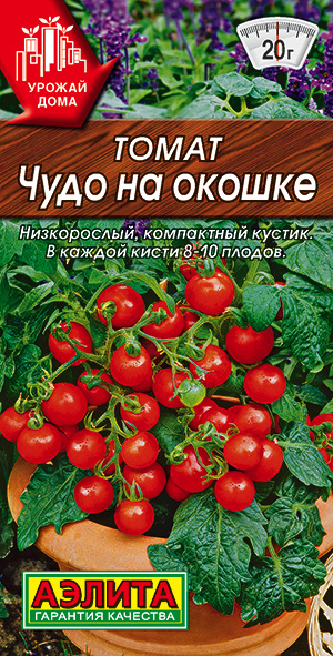 ����� ���� �� ������