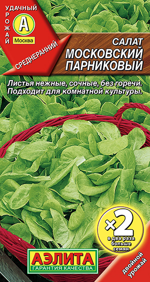 ����� ���������� ���������� ��������