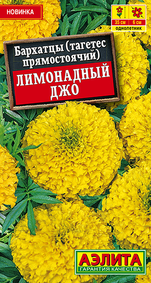 �������� ���������� ��� ������������