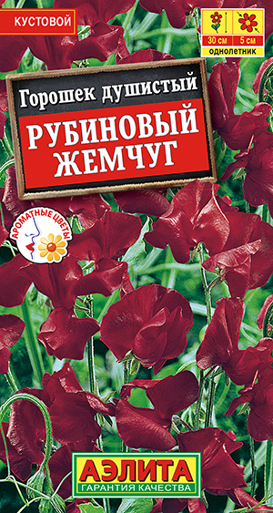 Горошек душистый Рубиновый жемчуг Горошек душистый Рубиновый жемчуг