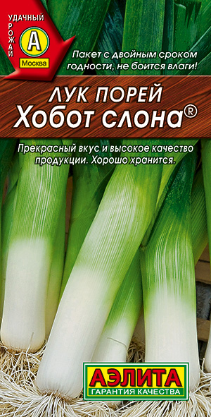 Лук порей Хобот слона Лук порей Хобот слона