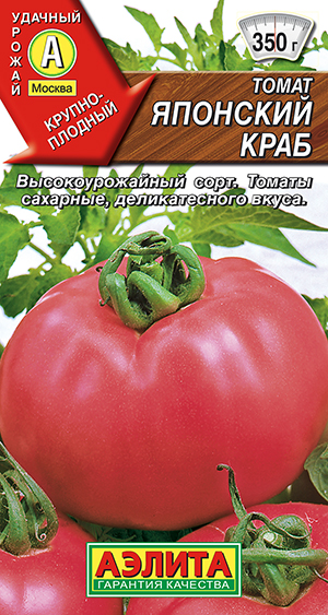 ����� �������� ����