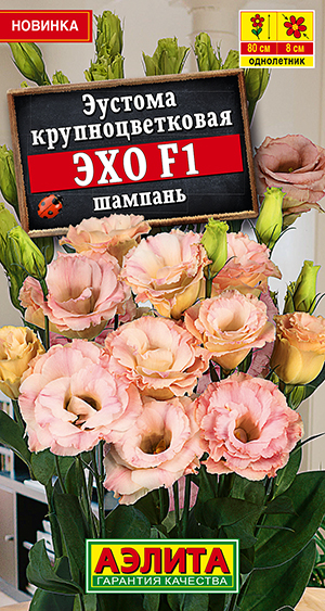 Эустома Эхо F1 шампань крупноцветковая Эустома Эхо F1 шампань крупноцветковая