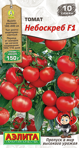 ����� ��������� F1