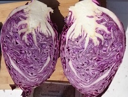 Капуста к/к Калибос Капуста к/к Калибос