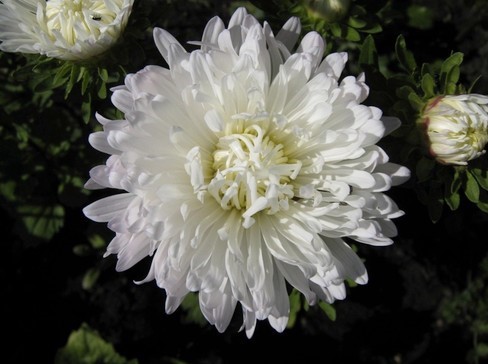 ����� ��������� ����� ������ ����� ����������