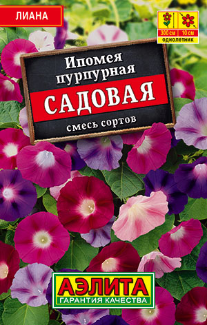 ������ ��������� �������, ����� ������