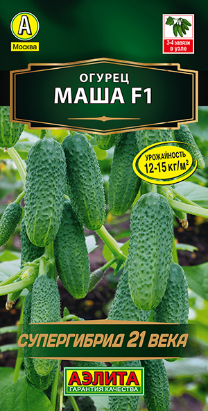 ������ ���� F1