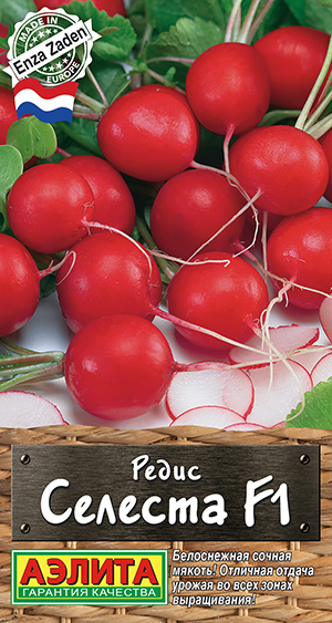 Редис Селеста F1 Редис Селеста F1