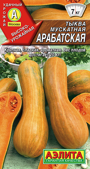 ����� ��������� ����������