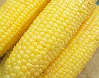 Кукуруза сахарная Алина Кукуруза сахарная Алина