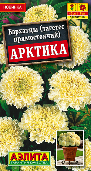 Бархатцы Арктика прямостоячие Бархатцы Арктика прямостоячие