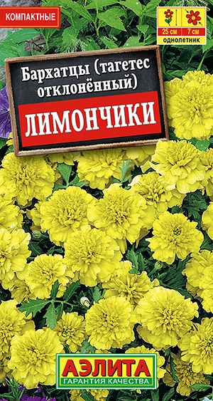 �������� ��������� �����������