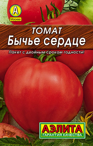 ����� ����� ������